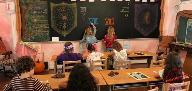 Valley Waldorf City School 2