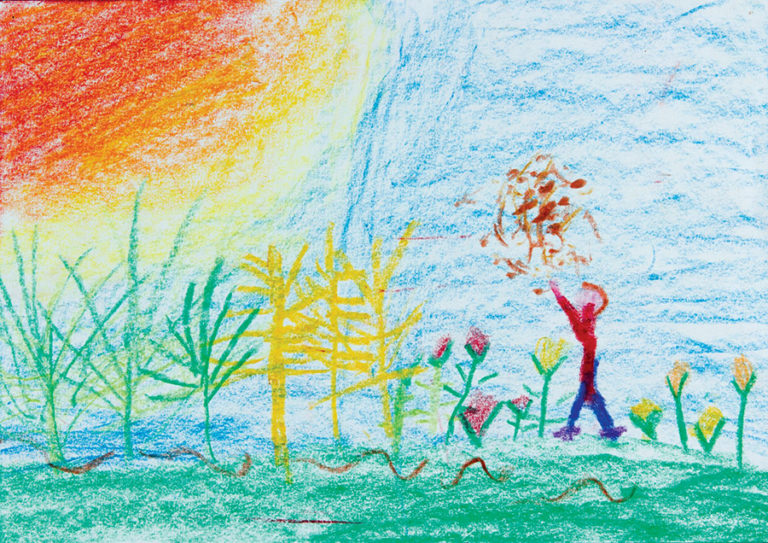 A semeadura e a minhoca