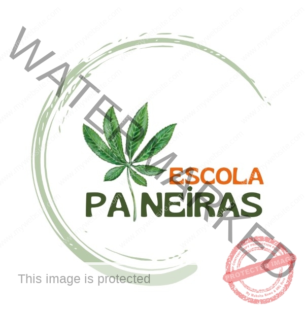 Escola Paineiras – Embu das Artes SP